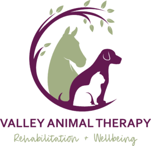 Valley Animal Therapy logo